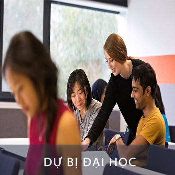 Dự bị đại học