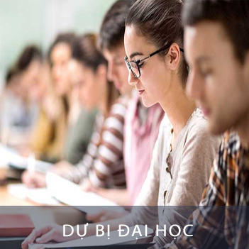 Dự bị đại học