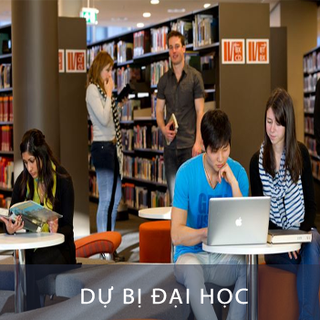 Dự bị đại học