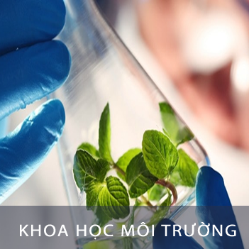 Kỹ thuật vi&ecirc;n m&ocirc;i trường