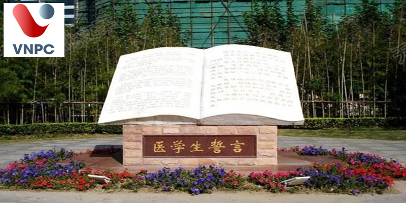 Du học Trung Quốc ngành Y Khoa năm 2022